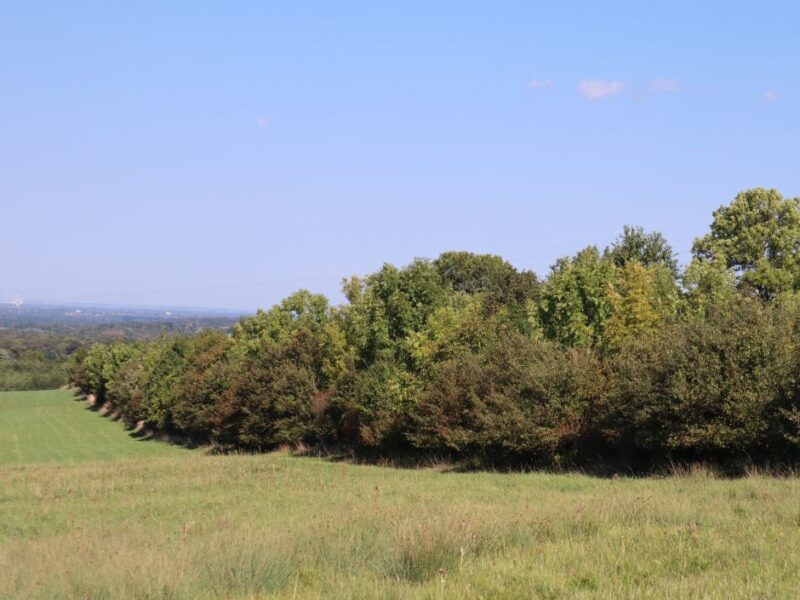 Działka inwestycyjna w Bielsku-Białej