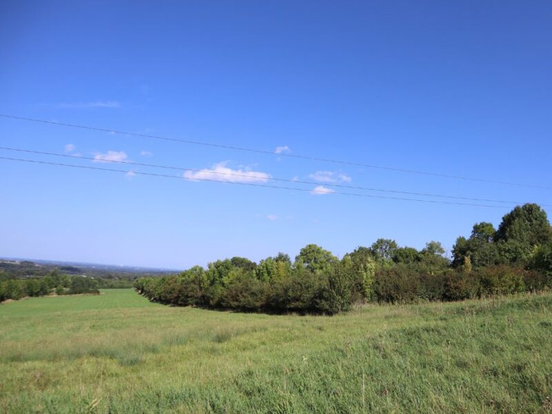 Działka inwestycyjna w Bielsku-Białej