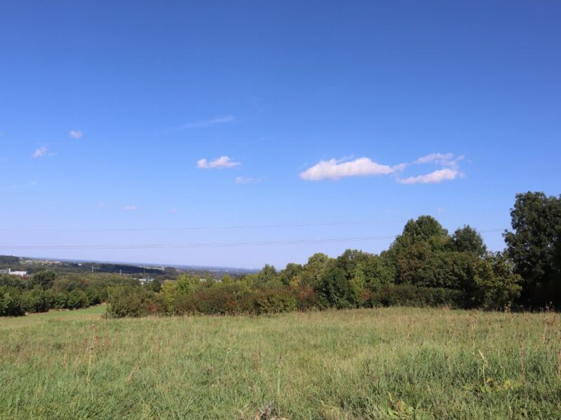 Działka inwestycyjna w Bielsku-Białej